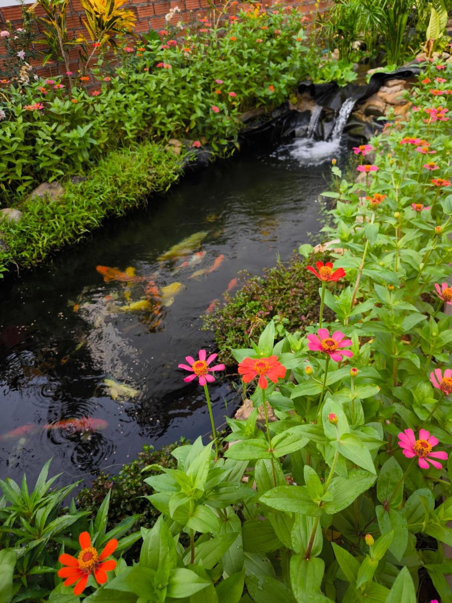 Dok Champa Resort Vang Vieng Dış mekan fotoğraf